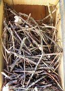 Image result for Wren Nest Box Plans