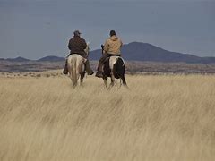 Image result for Arizona BLM Conservation Ranger