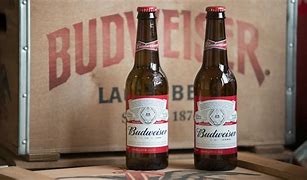 Image result for Budweiser Beer