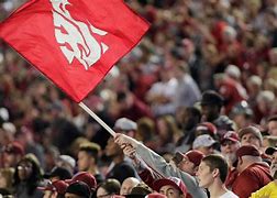 Image result for Wazzu Pirate Flag