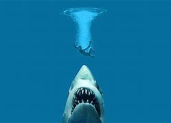 Image result for Images of Jaws