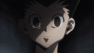 Image result for Gon Rage Mode