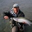 Image result for Steelhead Fly Fishing