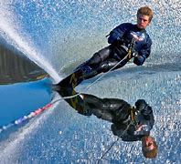 Image result for Water Skiing Gerbils