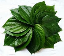 Image result for Pan Leaves