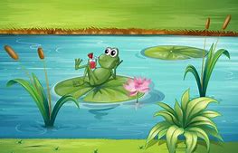 Image result for Cartoon Frog On Lily Pad