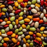 Image result for Beans Legumes and Lentils