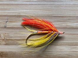 Image result for Steelhead Fly Fishing