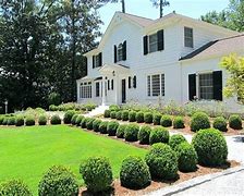 Image result for Landscaping with Boxwood Shrubs