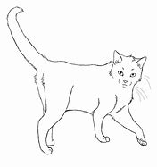 Image result for Cat with Bandana Drawing Base