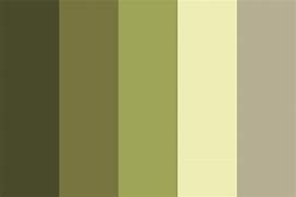 Image result for Csom Olive Green