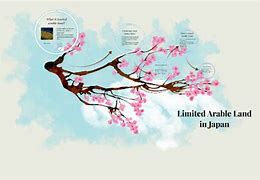 Image result for Arable Land in Japan