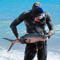 Image result for AWA Milkfish