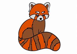 Image result for Red Panda Drawing