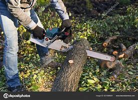 Image result for Logger Chainsaw