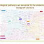 Image result for Cell Pathways Chart