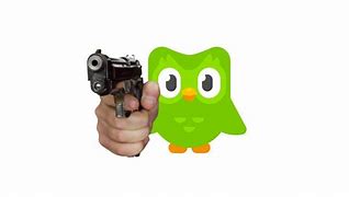 Image result for Duolingo Meme Template