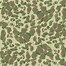 Image result for Marine Frog Camo