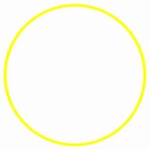 Image result for Yellow Circle Real Life