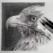 Image result for Hyper Realistic Graphite Drawings