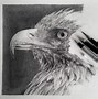 Image result for Hyper Realistic Graphite Drawings