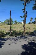 Image result for Ronda Cebu Map