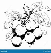 Image result for Damson Colour Scheme