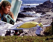 Image result for John Denver Still Alive