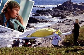 Image result for John Denver's Airplane