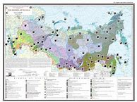 Image result for Russia Forest Map