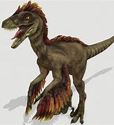 Image result for Feathered Raptor Dinosaur