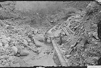 Image result for Old West Gold Miner