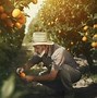 Image result for Fruit Farmer