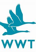 Image result for WWT Bird Logo