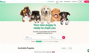 Image result for Mawoo Pets