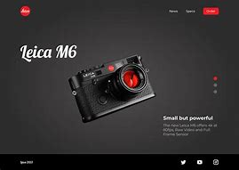 Image result for Leica M6 LR44