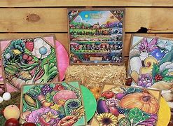 Image result for Stardew Valley Soundtrack Vinyl