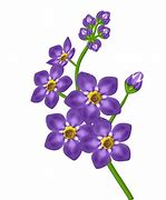 Image result for Purple and Yellow Flower Basket Clip Art