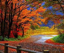 Image result for Fall Scenes