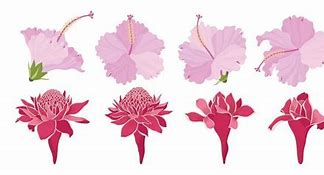 Image result for Lei Flower Cut Out