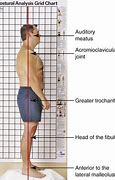 Image result for Standing Posture Plumb Line