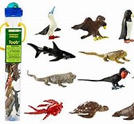 Image result for Safari LTD Galapagos Toob