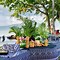 Image result for Sofitel Fiji Pool