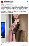 Image result for Cat Crimes Cheat Sheet