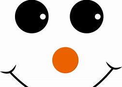 Image result for Fake Eyes for Snowman