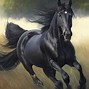 Image result for Baby Horse Running