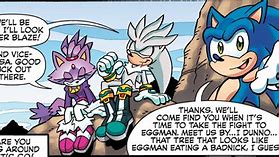 Image result for Blaze The Cat Archie