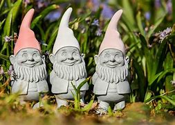 Image result for Garden Gnome Pictures