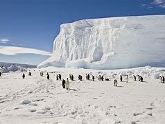 Image result for Antarctic Eastern Ice Sheet