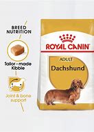 Image result for Royal Canin Dachshund